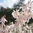 농업회사법인 나라주식회사 이미지