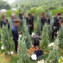 보람의정부장례식장 이미지