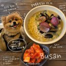 송정바다약국 | [부산] 송정 애견동반 식당 송정물총칼국수 내돈내산 솔직후기