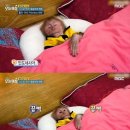 초록무드