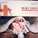 그레이스 고양이 병원 이미지