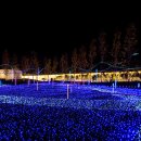 별빛정원 이미지