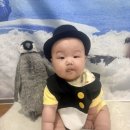 남극의신사 | 롯데백화점 센텀시티점 문화센터 6개월 아기 혼자 앉기 안돼도 괜찮을까?