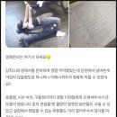 엠에이치(MH)프리미엄 이미지