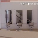 살롱드아르보