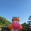 5월 상반기 일상 모음zip.