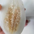 장호덕손만두 이천중앙점