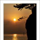 일출로2 이미지