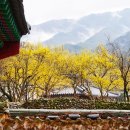 주천면 내용궁마을 이미지