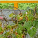 남해-118 이미지