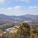 강남-293 이미지