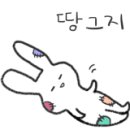 미냥이 이미지