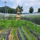 신매대교 자전거도로 이미지