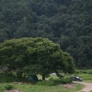 무주읍126 네이버블로그
