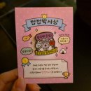 신안경박사 | [성남/모란] 모란역 맛집 도르리 모란본점 솔직후기/우베막걸리 + 대광어 + 소금김밥 조합 대박추천
