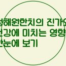 청해원푸드 | 청해원한치의 진가와 건강에 미치는 영향 한눈에 보기