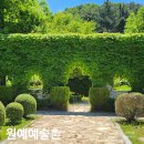 남해 여행 원예예술촌 원예인들의 예술정원 마을 산책