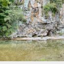 새재산버섯식당 이미지