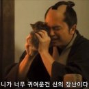 유니포차 이미지