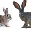 누가 내머리에 똥쌌어 이미지