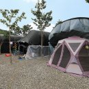 코끼리캠핑장 이미지