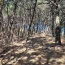 고암성산대로 이미지