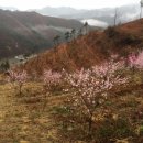 산돌복농장