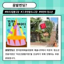 꿈밭 이미지