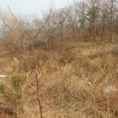 뉴설악펜션 이미지