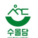 수원-2034 이미지