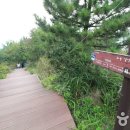 각산 Daum카페