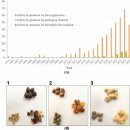 능동맛의거리1 이미지
