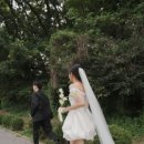 박개인주의 이미지