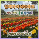 김해가야테마파크 미취학아동 후기｜가야무사어드벤처만으로 충분했던 이유