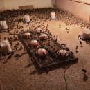 예민꿩농장 이미지