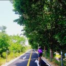 신매강변길 | 4대강 자전거길 국토종주 후기 인증수첩 발급신청 구매방법 국토종주 시작지점
