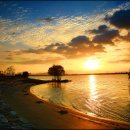 별밤지기 이미지