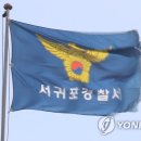 신효교 이미지