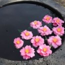 광명공인중개사 이미지