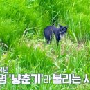 춘기농장 네이버블로그