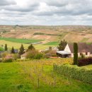 나인에코 이미지