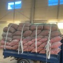 김해톱밥 이미지