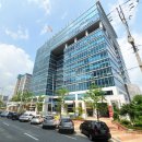 성지스타위드 이미지