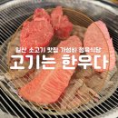 일산 소고기 맛집 [고기는 한우다] 가성비 정육식당 내돈내산!