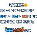 베스테이 센트럴뷰 이미지