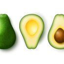 피트니스 화도 이미지