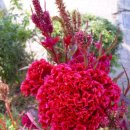 개미공인중개사사무소 이미지