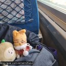 경희대고려체육관 | 2025-26 포레스텔라 콘서트 THE LEGACY in Seoul / 고려대학교 화정체육관 / 공연시간 셋리스트 콘서트후기