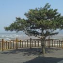 일송정 이미지