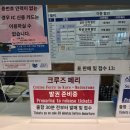 히로시마에서 마쓰야마로 페리 타고 가기 마쓰야마 관광항에서 시내까지 + 바이신지역